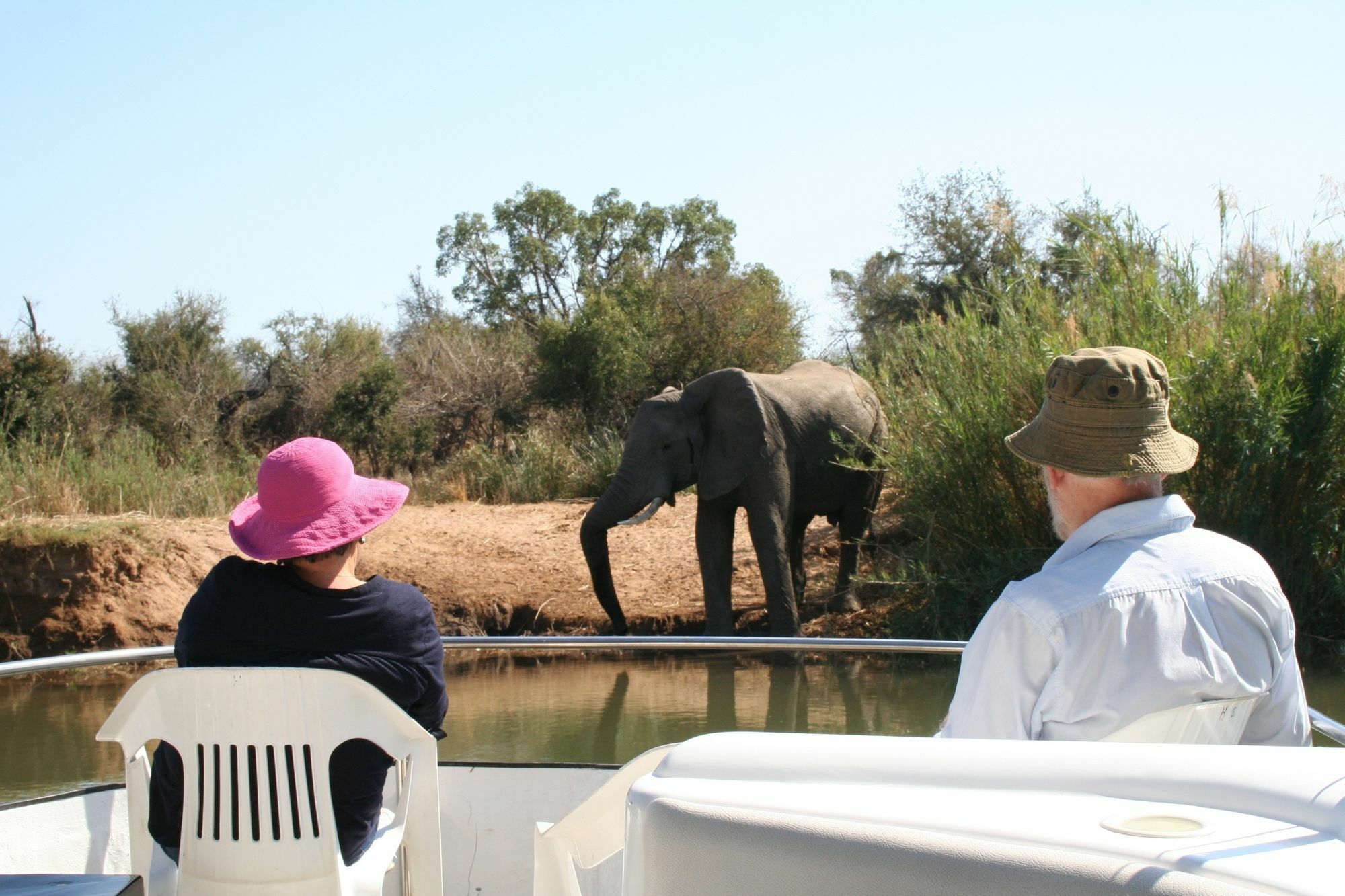 Baluleni Safari Lodge Grietjie Game Reserve Extérieur photo