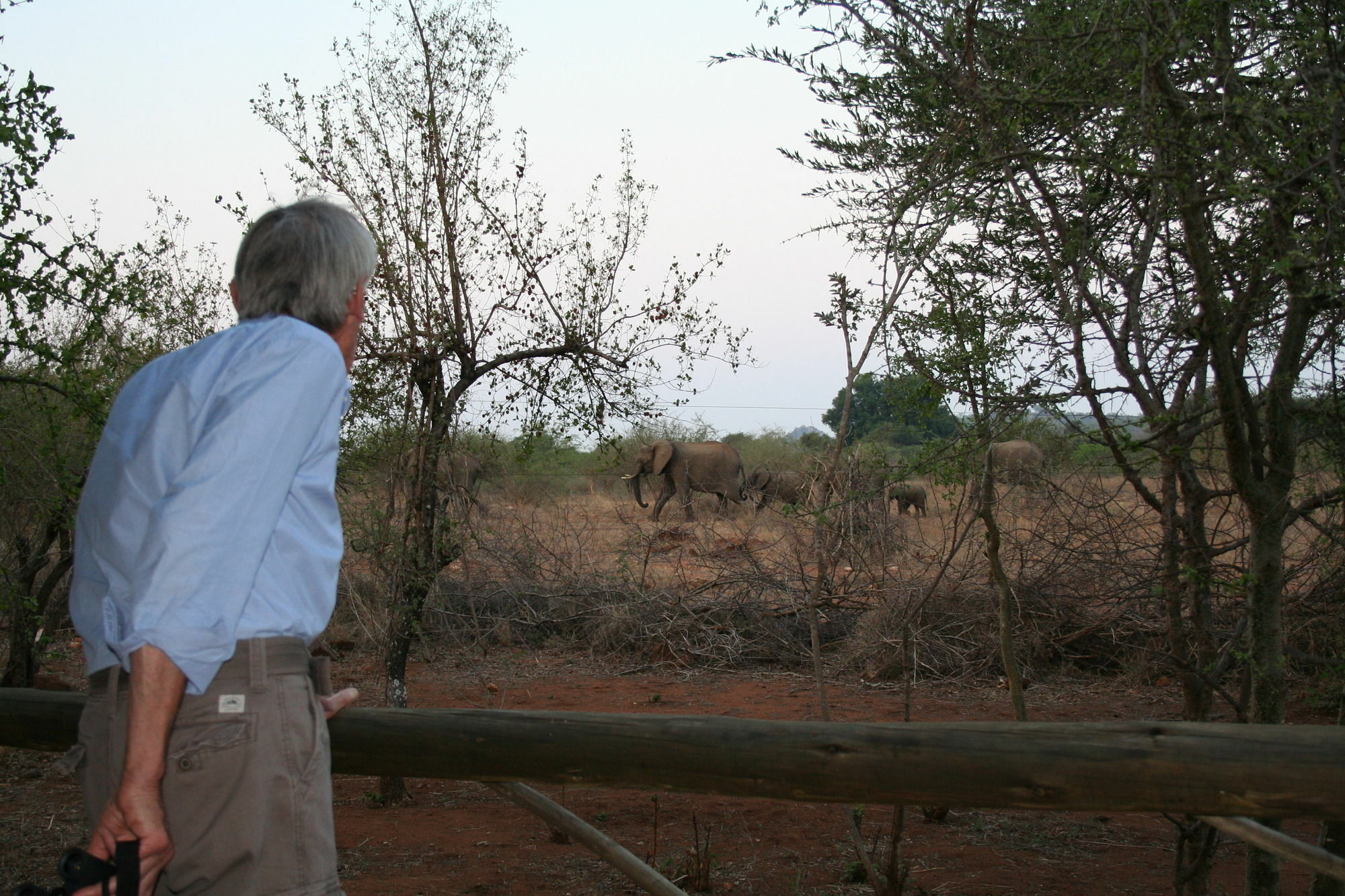 Baluleni Safari Lodge Grietjie Game Reserve Extérieur photo