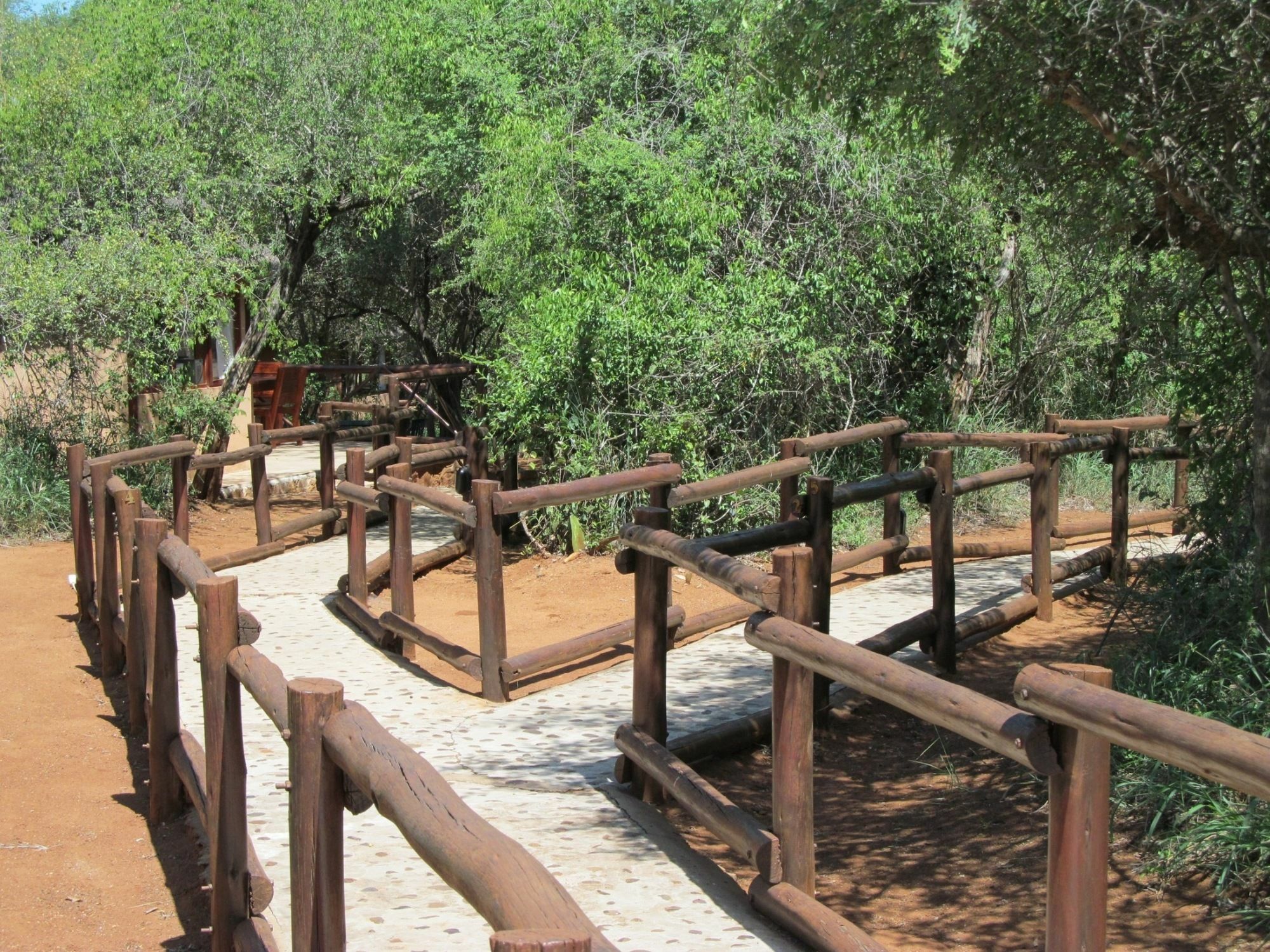 Baluleni Safari Lodge Grietjie Game Reserve Extérieur photo